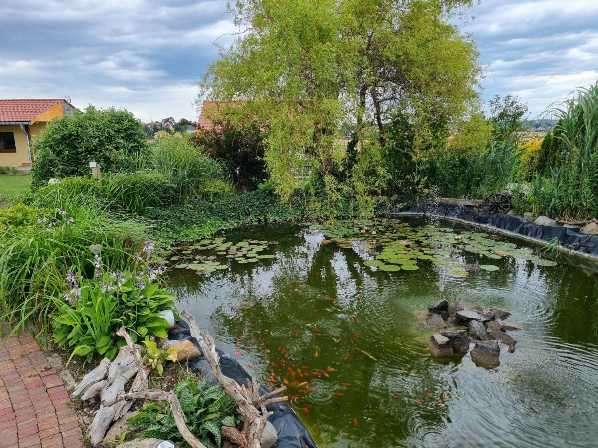 Apartament U Beti Opole Kültér fotó