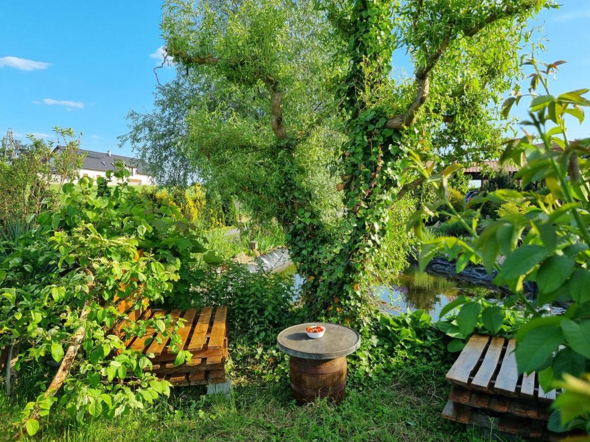 Apartament U Beti Opole Kültér fotó